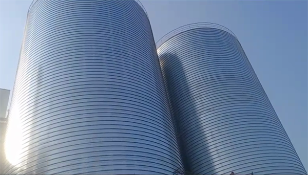 萧山2座混凝土高架卷板仓